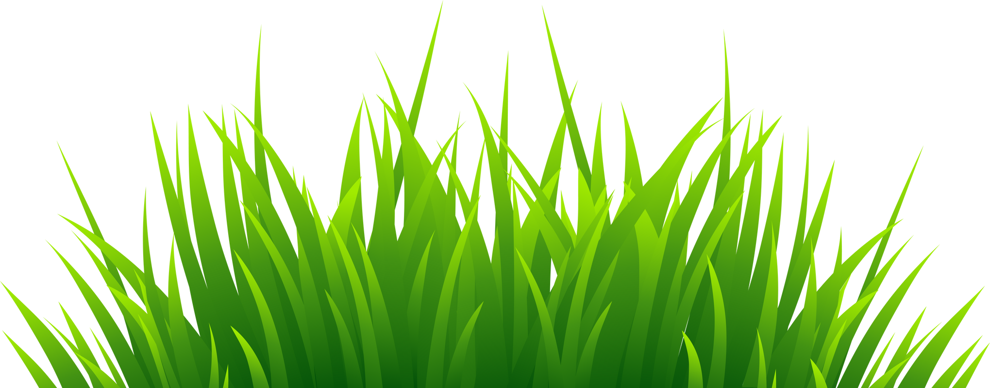 3D Green Grass